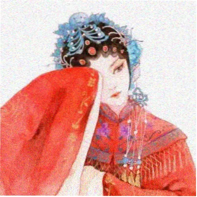 读者风信子头像